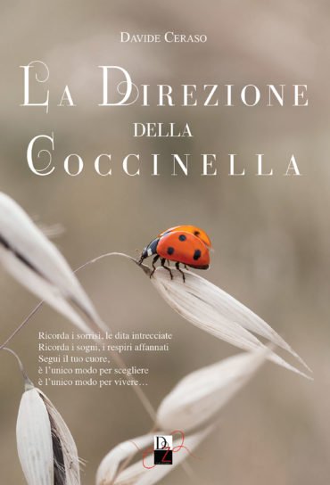 La copertina de La direzione della coccinella, realizzata da Livia De Simone.