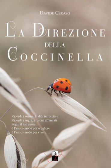 La copertina de La direzione della coccinella, realizzata da Livia De Simone.